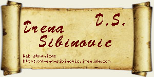 Drena Sibinović vizit kartica